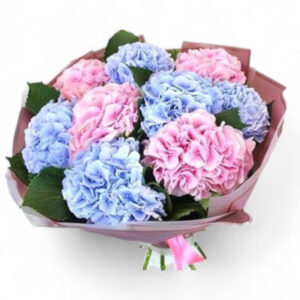 זר הורטנזיות (HYDRANGEAS )