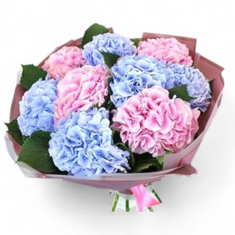 זר הורטנזיות (HYDRANGEAS )