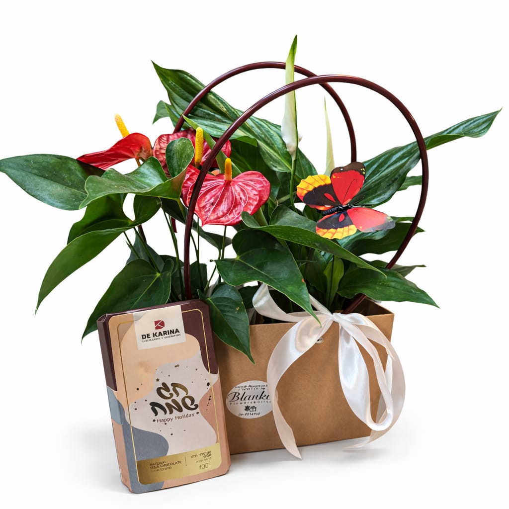 מארז חג שמח כשר