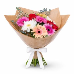 גרבריות צבעוניות mix gerebera