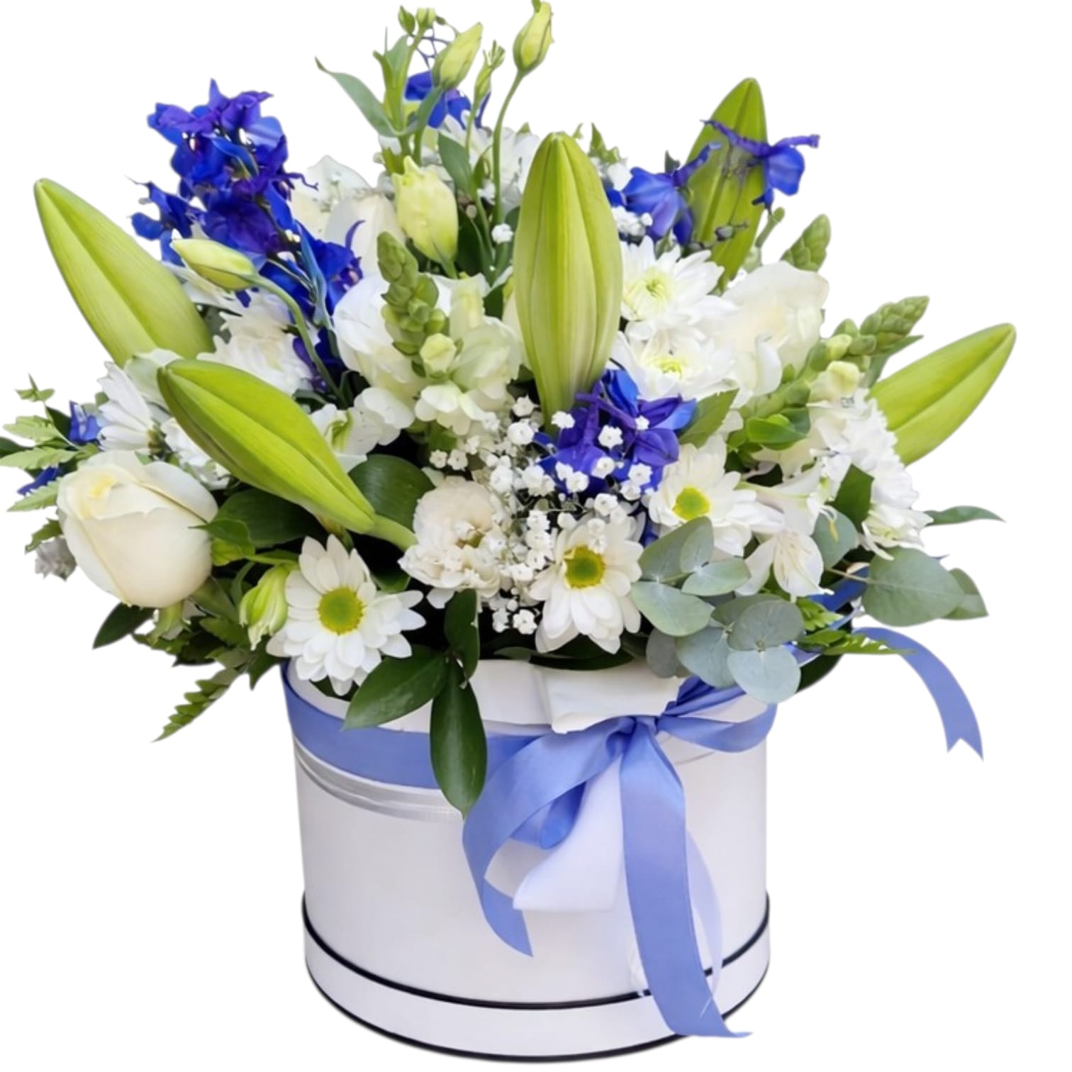 נגיעות של שמיים